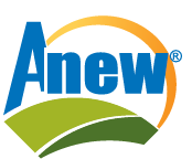 Anew Logo w R trademark